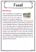 Vorschau - Unterrichtsreihen - Fossil Lückentext mit Wortspeicher Hörverstehen und Suchsel - Seite 2