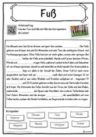 Vorschau - Unterrichtsreihen - Fuß Lückentext mit Wortspeicher Hörverstehen und Suchsel - Seite 1