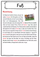 Vorschau - Unterrichtsreihen - Fuß Lückentext mit Wortspeicher Hörverstehen und Suchsel - Seite 2