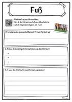 Vorschau - Unterrichtsreihen - Fuß Lückentext mit Wortspeicher Hörverstehen und Suchsel - Seite 3