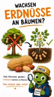 Vorschau - Bildkarten - QUAPPIZ Kindernews - Wo wächst die Erdnuss? - Deckblatt