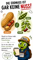 Vorschau - Bildkarten - QUAPPIZ Kindernews - Wo wächst die Erdnuss? - Seite 3