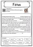 Vorschau - Unterrichtsreihen - Fötus Lückentext mit Wortspeicher Hörverstehen und Suchsel - Seite 1