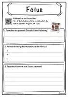 Vorschau - Unterrichtsreihen - Fötus Lückentext mit Wortspeicher Hörverstehen und Suchsel - Seite 3