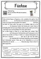 Vorschau - Unterrichtsreihen - Füchse Lückentext mit Wortspeicher Hörverstehen und Suchsel - Seite 1