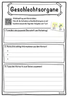 Vorschau - Unterrichtsreihen - Geschlechtsorgane Lückentext mit Wortspeicher Hörverstehen und Suchsel - Seite 3