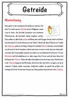 Vorschau - Unterrichtsreihen - Getreide Lückentext mit Wortspeicher Hörverstehen und Suchsel - Seite 2