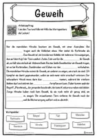 Vorschau - Unterrichtsreihen - Geweih Lückentext mit Wortspeicher Hörverstehen und Suchsel - Seite 1