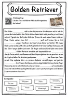 Vorschau - Unterrichtsreihen - Golden Retriever Lückentext mit Wortspeicher Hörverstehen und Suchsel - Seite 1