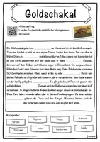 Vorschau - Unterrichtsreihen - Goldschakal Lückentext mit Wortspeicher Hörverstehen und Suchsel - Seite 1