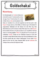Vorschau - Unterrichtsreihen - Goldschakal Lückentext mit Wortspeicher Hörverstehen und Suchsel - Seite 2