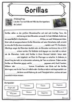 Vorschau - Unterrichtsreihen - Gorillas Lückentext mit Wortspeicher Hörverstehen und Suchsel - Seite 1