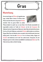 Vorschau - Unterrichtsreihen - Gras Lückentext mit Wortspeicher Hörverstehen und Suchsel - Seite 2