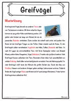 Vorschau - Unterrichtsreihen - Greifvögel Lückentext mit Wortspeicher Hörverstehen und Suchsel - Seite 2