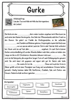 Vorschau - Unterrichtsreihen - Gurke Lückentext mit Wortspeicher Hörverstehen und Suchsel - Seite 1