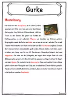 Vorschau - Unterrichtsreihen - Gurke Lückentext mit Wortspeicher Hörverstehen und Suchsel - Seite 2