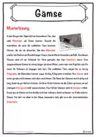 Vorschau - Unterrichtsreihen - Gämse Lückentext mit Wortspeicher Hörverstehen und Suchsel - Seite 2