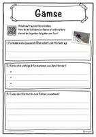 Vorschau - Unterrichtsreihen - Gämse Lückentext mit Wortspeicher Hörverstehen und Suchsel - Seite 3