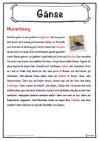 Vorschau - Unterrichtsreihen - Gänse Lückentext mit Wortspeicher Hörverstehen und Suchsel - Seite 2