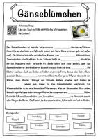 Vorschau - Unterrichtsreihen - Gänseblümchen Lückentext mit Wortspeicher Hörverstehen und Suchsel - Seite 1