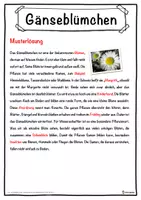 Vorschau - Unterrichtsreihen - Gänseblümchen Lückentext mit Wortspeicher Hörverstehen und Suchsel - Seite 2