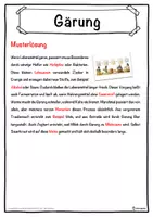 Vorschau - Unterrichtsreihen - Gärung Lückentext mit Wortspeicher Hörverstehen und Suchsel - Seite 2