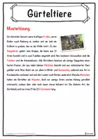 Vorschau - Unterrichtsreihen - Gürteltiere Lückentext mit Wortspeicher Hörverstehen und Suchsel - Seite 2