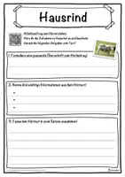 Vorschau - Unterrichtsreihen - Hausrind Lückentext mit Wortspeicher Hörverstehen und Suchsel - Seite 3