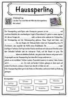 Vorschau - Unterrichtsreihen - Haussperling Lückentext mit Wortspeicher Hörverstehen und Suchsel - Seite 1