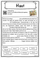 Vorschau - Unterrichtsreihen - Haut Lückentext mit Wortspeicher Hörverstehen und Suchsel - Seite 1