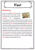 Vorschau - Unterrichtsreihen - Haut Lückentext mit Wortspeicher Hörverstehen und Suchsel - Seite 2