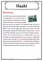 Vorschau - Unterrichtsreihen - Hecht Lückentext mit Wortspeicher Hörverstehen und Suchsel - Seite 2