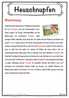 Vorschau - Unterrichtsreihen - Heuschnupfen Lückentext mit Wortspeicher Hörverstehen und Suchsel - Seite 2