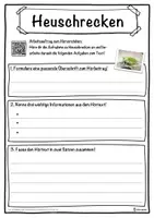 Vorschau - Unterrichtsreihen - Heuschrecken Lückentext mit Wortspeicher Hörverstehen und Suchsel - Seite 3