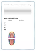 Vorschau - Stundenentwürfe - Alles rund um Zähne und Zahnpflege - Seite 3