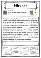 Vorschau - Unterrichtsreihen - Hirsche Lückentext mit Wortspeicher Hörverstehen und Suchsel - Seite 1