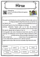 Vorschau - Unterrichtsreihen - Hirse Lückentext mit Wortspeicher Hörverstehen und Suchsel - Seite 1