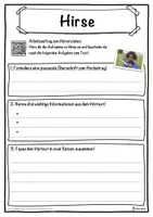 Vorschau - Unterrichtsreihen - Hirse Lückentext mit Wortspeicher Hörverstehen und Suchsel - Seite 3