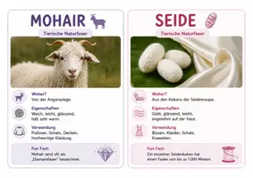 Vorschau - Arbeitsblätter - Textile Rohstoffe (AES - alle Klassenstufen) - Seite 3