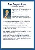 Vorschau - Arbeitsblätter - Sachtexte zu Meerestieren/Lesestrategien - Gruppenpuzzle - Seite 1