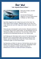 Vorschau - Arbeitsblätter - Sachtexte zu Meerestieren/Lesestrategien - Gruppenpuzzle - Seite 3