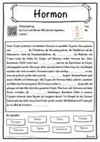 Vorschau - Unterrichtsreihen - Hormon Lückentext mit Wortspeicher Hörverstehen und Suchsel - Seite 1