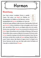 Vorschau - Unterrichtsreihen - Hormon Lückentext mit Wortspeicher Hörverstehen und Suchsel - Seite 2