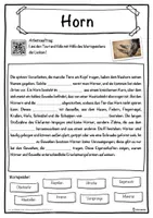 Vorschau - Unterrichtsreihen - Horn Lückentext mit Wortspeicher Hörverstehen und Suchsel - Seite 1