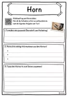 Vorschau - Unterrichtsreihen - Horn Lückentext mit Wortspeicher Hörverstehen und Suchsel - Seite 3