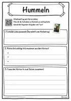 Vorschau - Unterrichtsreihen - Hummeln Lückentext mit Wortspeicher Hörverstehen und Suchsel - Seite 3