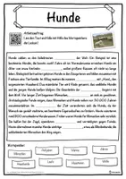 Vorschau - Unterrichtsreihen - Hunde Lückentext mit Wortspeicher Hörverstehen und Suchsel - Seite 1