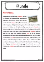 Vorschau - Unterrichtsreihen - Hunde Lückentext mit Wortspeicher Hörverstehen und Suchsel - Seite 2
