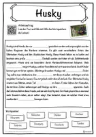 Vorschau - Unterrichtsreihen - Husky Lückentext mit Wortspeicher Hörverstehen und Suchsel - Seite 1