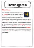 Vorschau - Unterrichtsreihen - Immunsystem Lückentext mit Wortspeicher Hörverstehen und Suchsel - Seite 2